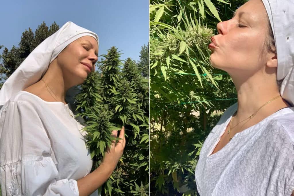 Suore cannabis.jpg