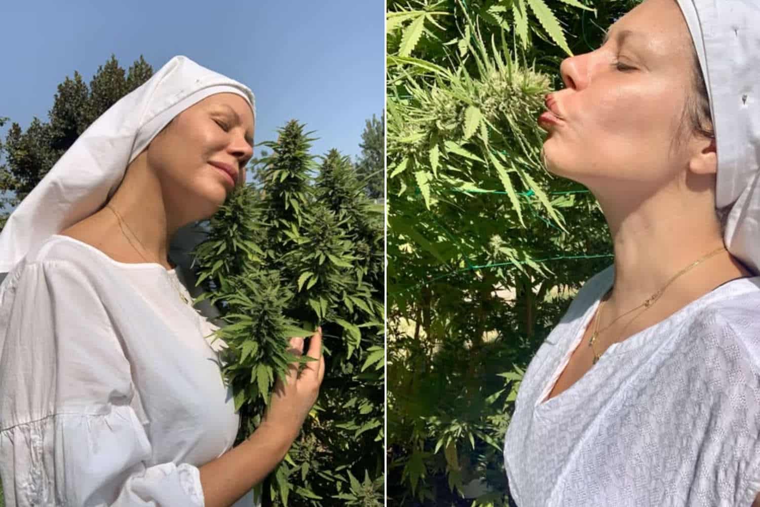 Suore cannabis.jpg