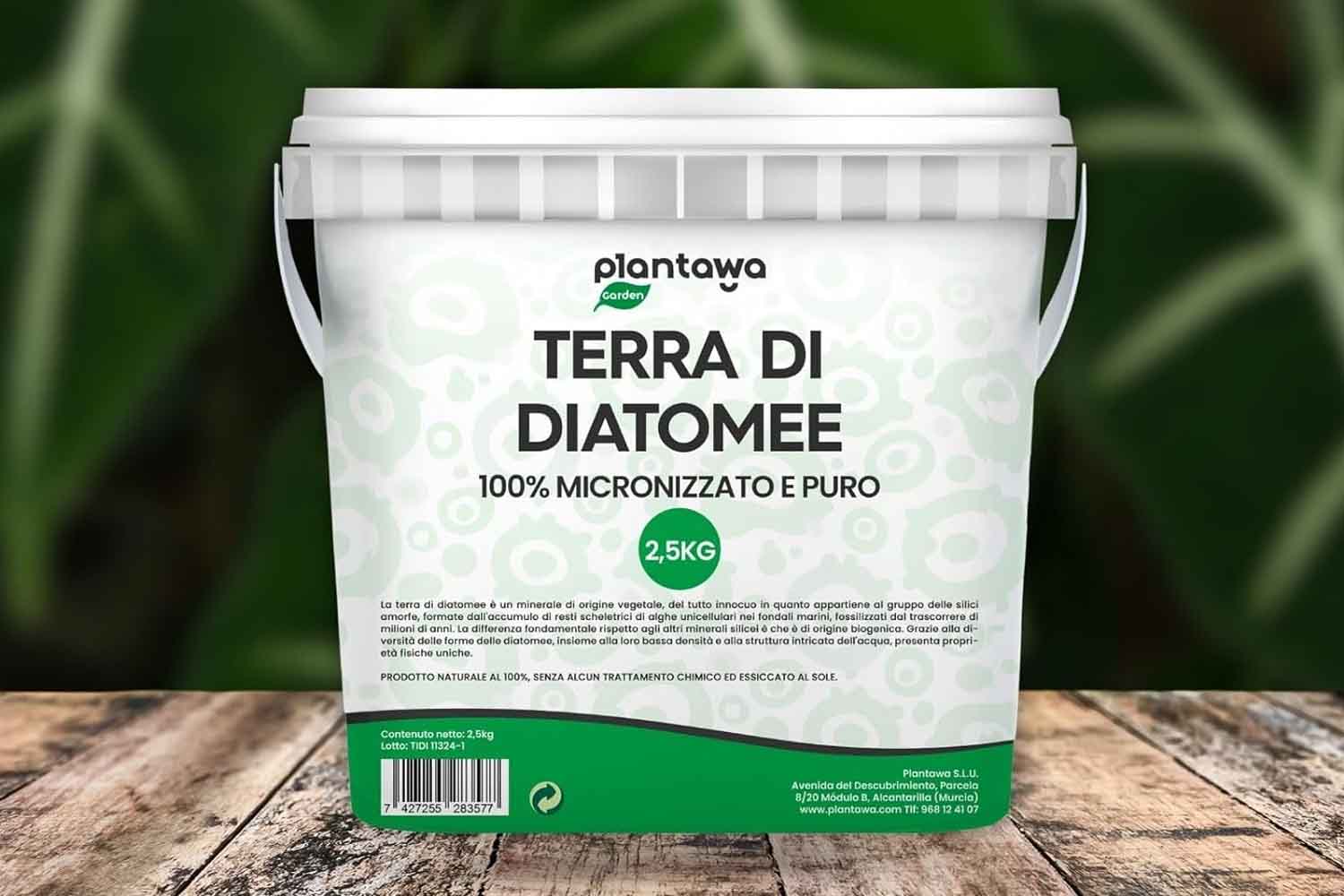 Terra di diatomee