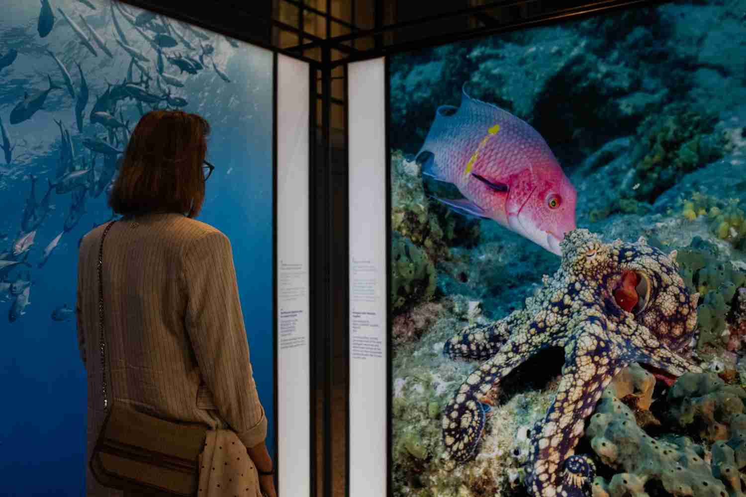 “The Living Sea” mostra