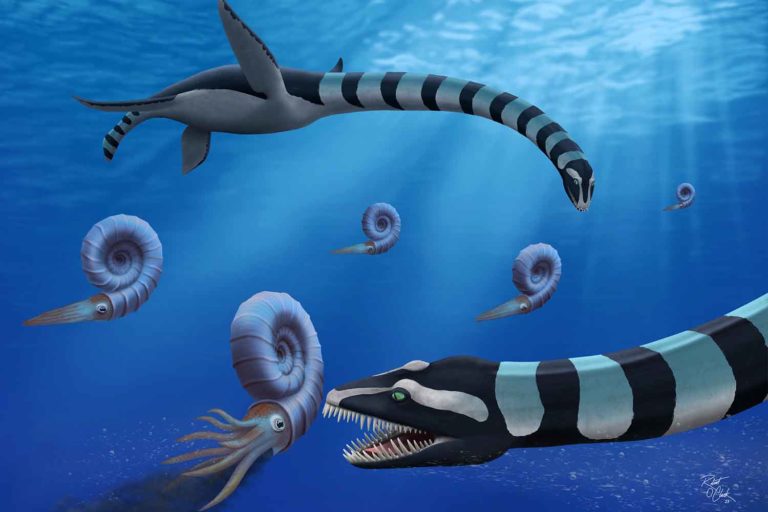 Traskasaura.jpg