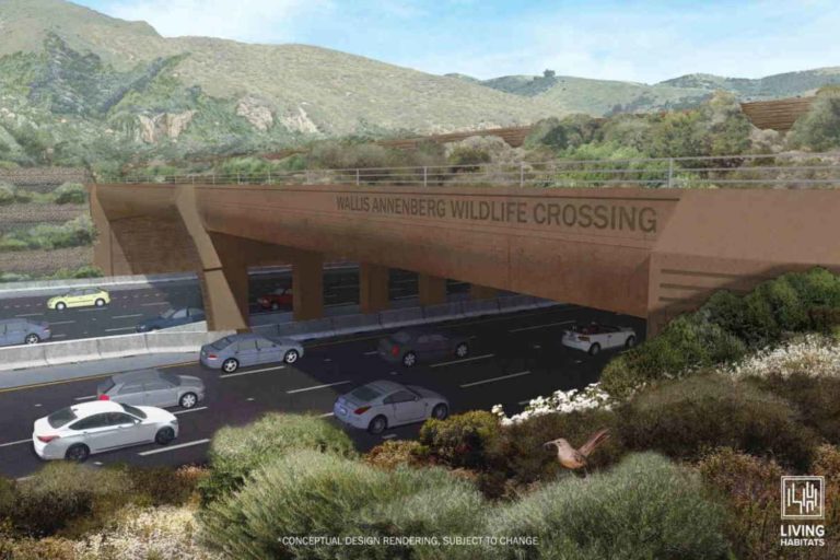 Wallis Annenberg Wildlife Crossing.jpg