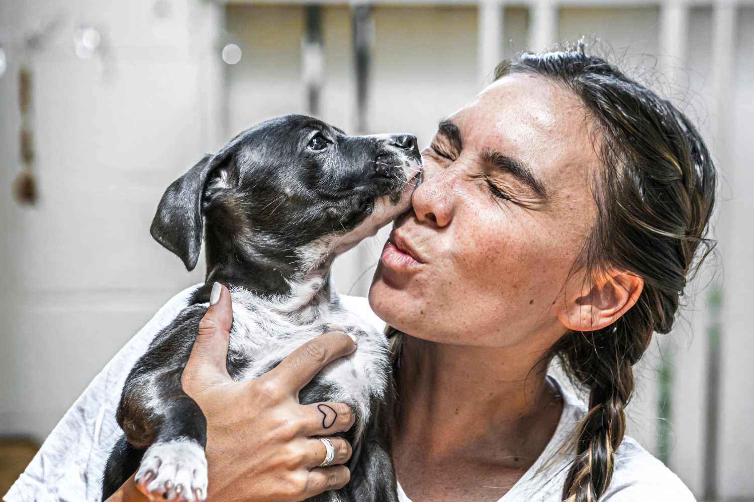 Il lavoro peggiore al mondo? Azienda di benessere per animali cerca stagista per annusare l’alito dei cani 1 cane alito.jpg