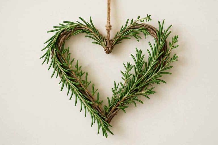 cuori decorativi.jpg