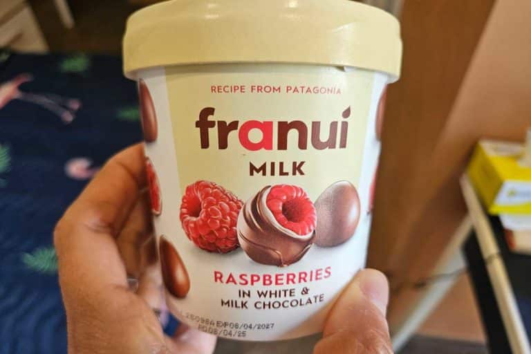 frauni lamponi cover.jpg