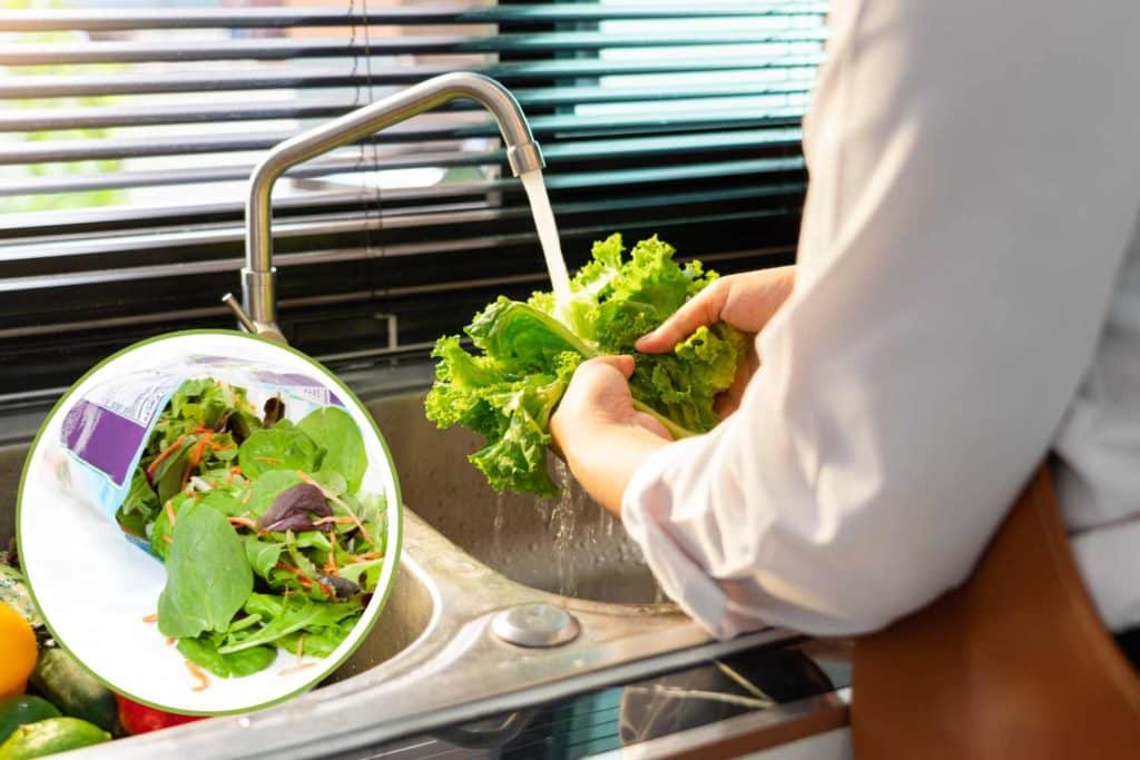 insalata in busta.jpg