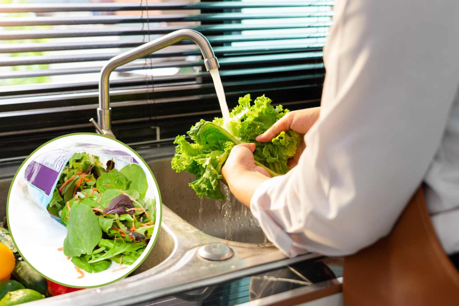 Insalata in busta: ti spiego perché dovresti lavarla lo stesso prima di consumarla 1 insalata in busta.jpg