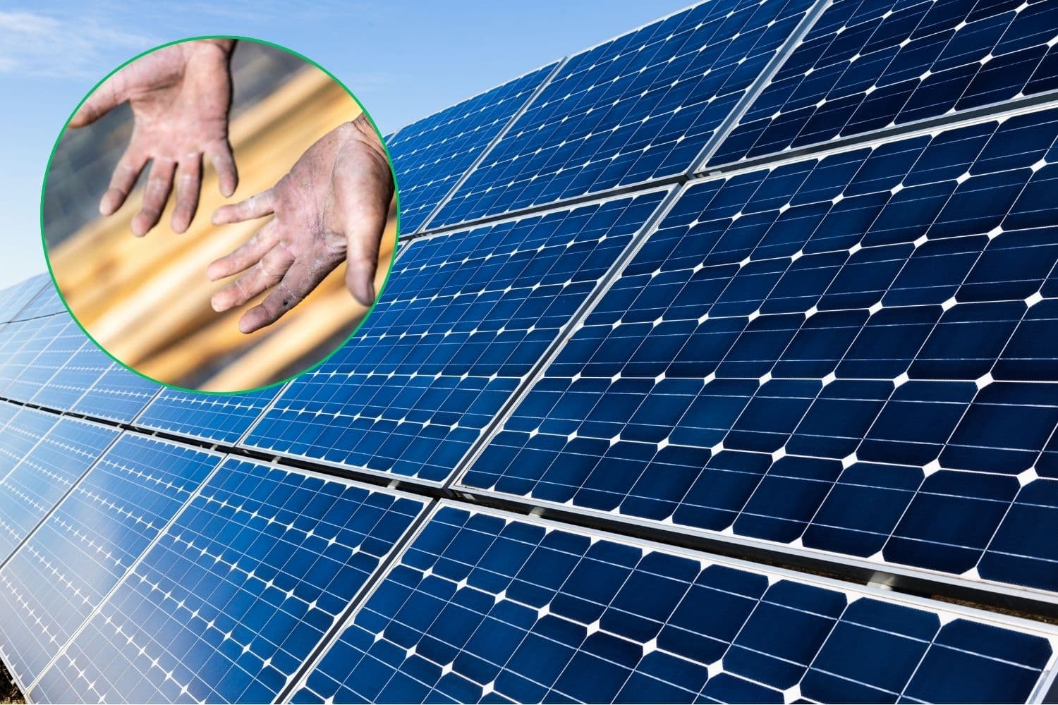 La compagnia energetica statale del Regno Unita vieta i pannelli solari “della schiavitù” 1 lavoro forzato.jpg
