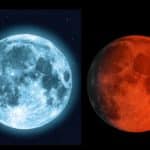 luna caldo.jpg