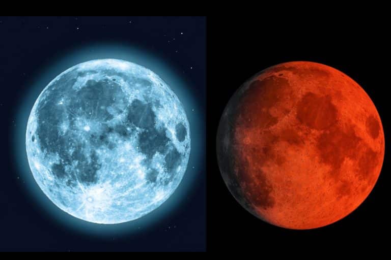 luna caldo.jpg