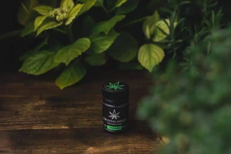 olio di cbd.jpg