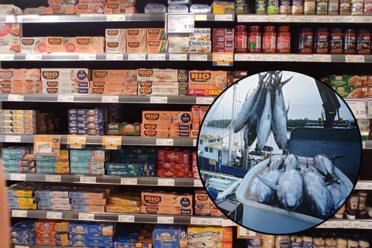 pesca tonno.jpg