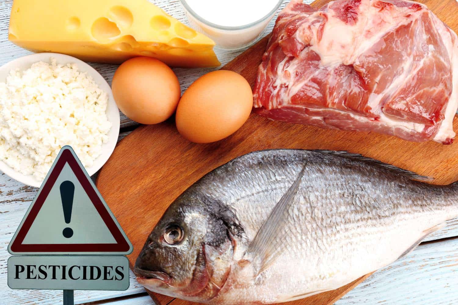 Dal pesce al latte, dalla carne al miele: i pesticidi si trovano (anche) nei cibi di origine animale 1 pesticidi cibi animali.jpg