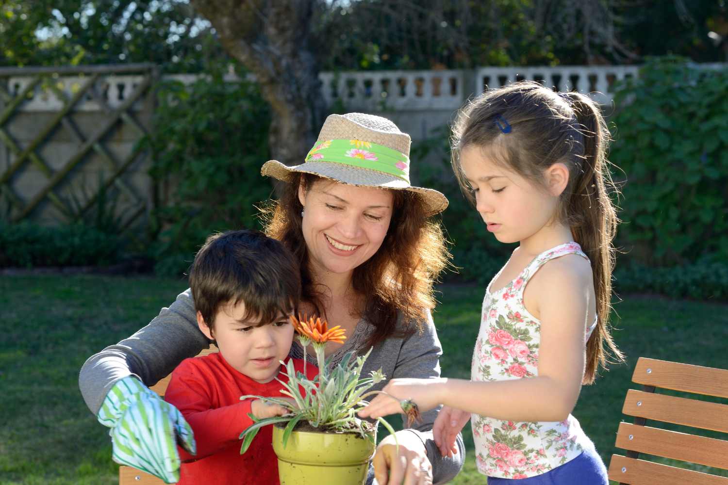10 piante perfette da regalare per la Festa della Mamma 1 piante da regalare alla mamma.jpg