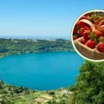 sagra fragole di nemi.jpg