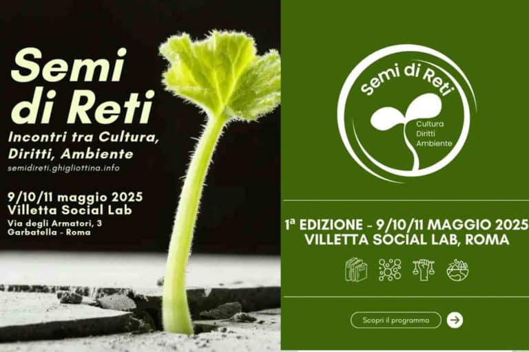 semi di reti.jpg
