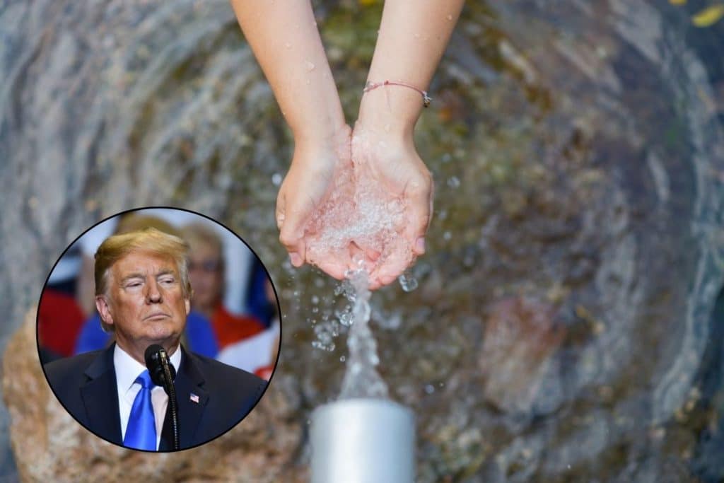 trump pfas.jpg