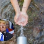 trump pfas.jpg