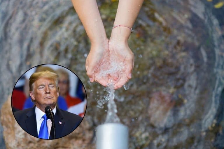 trump pfas.jpg