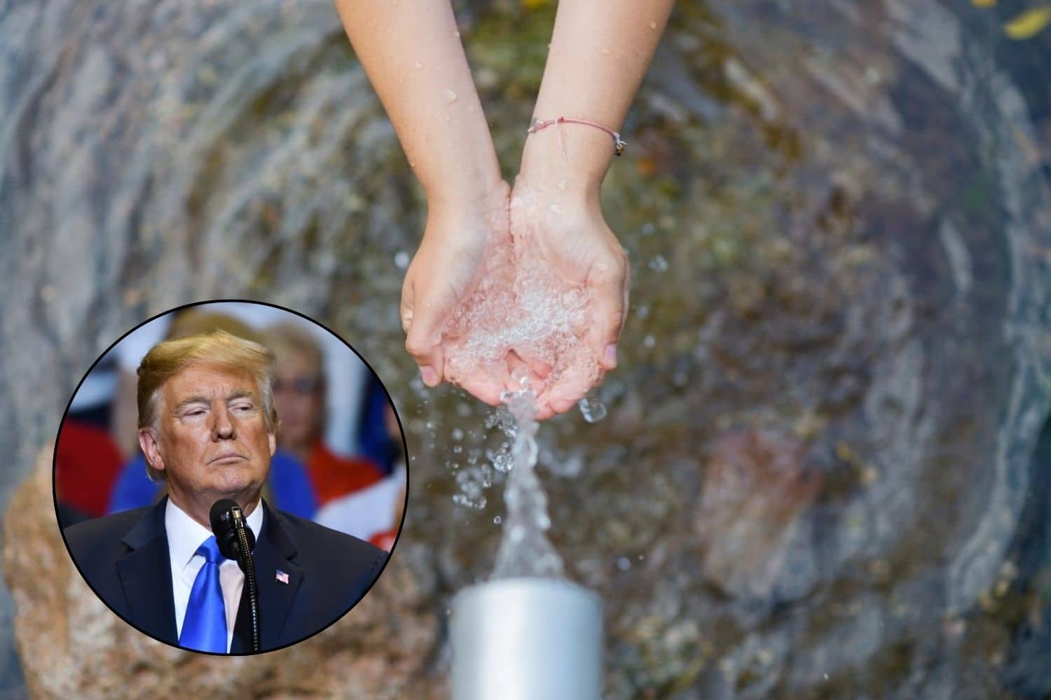 trump pfas.jpg