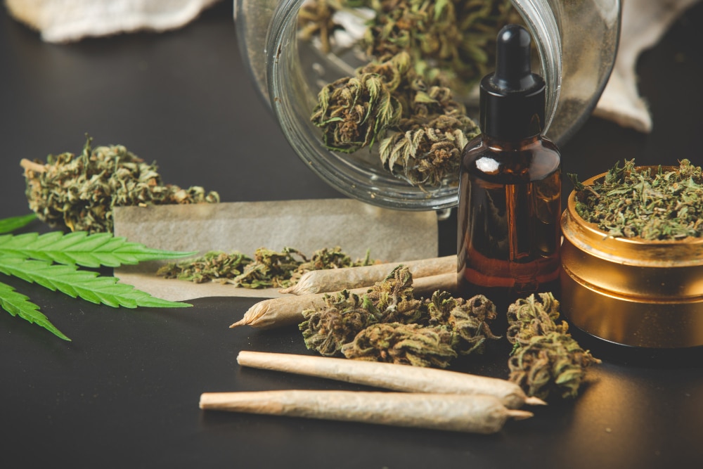 Come sono nati i semi di cannabis autofiorenti? 1 20687