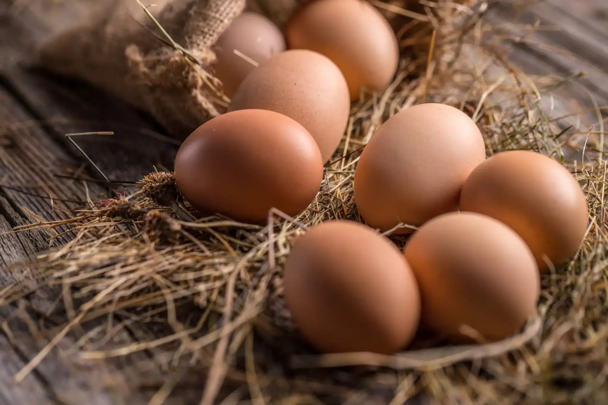 Uova: 10 motivi per cui non dovrebbero mai mancare nella tua alimentazione (lo dice una nutrizionista!) 1 AdobeStock 105081326 scaled.jpeg.webp