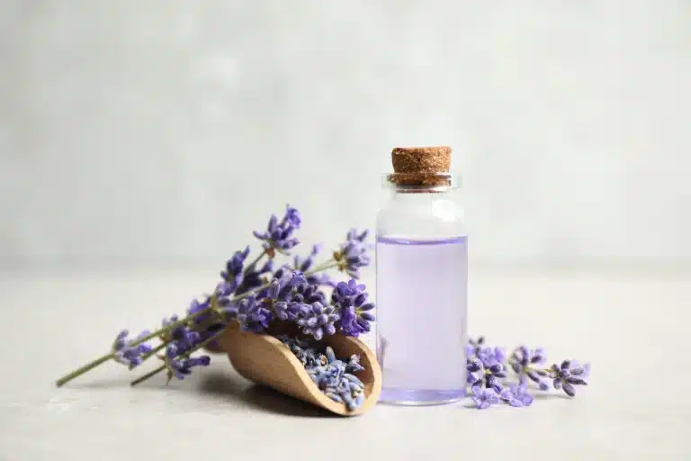 AdobeStock 370812555 scaled.jpeg.webp
