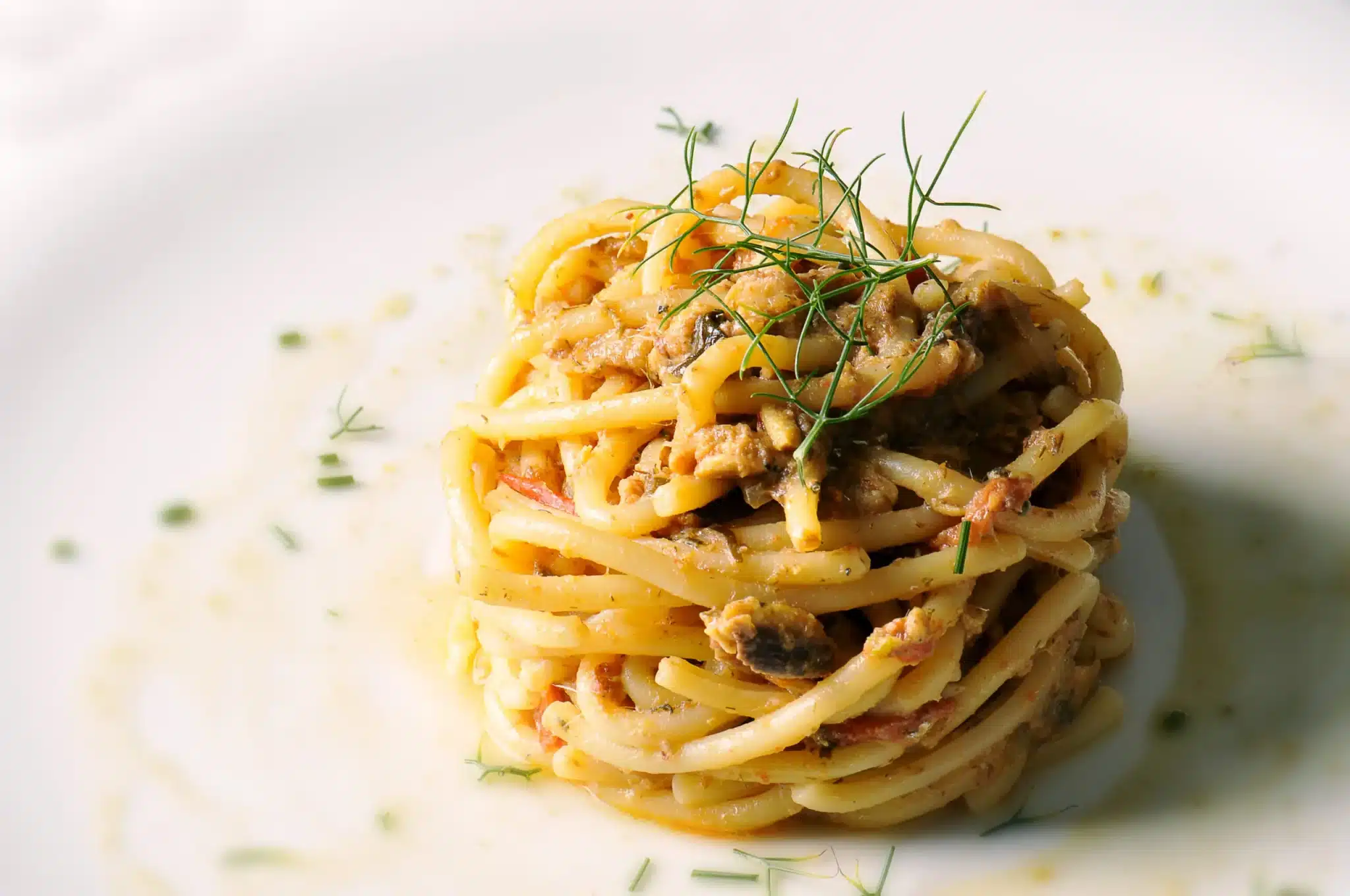 Pasta con le sarde a modo mio: una ricetta semplice e saporitissima! 1 AdobeStock 57443328 scaled.jpeg.webp