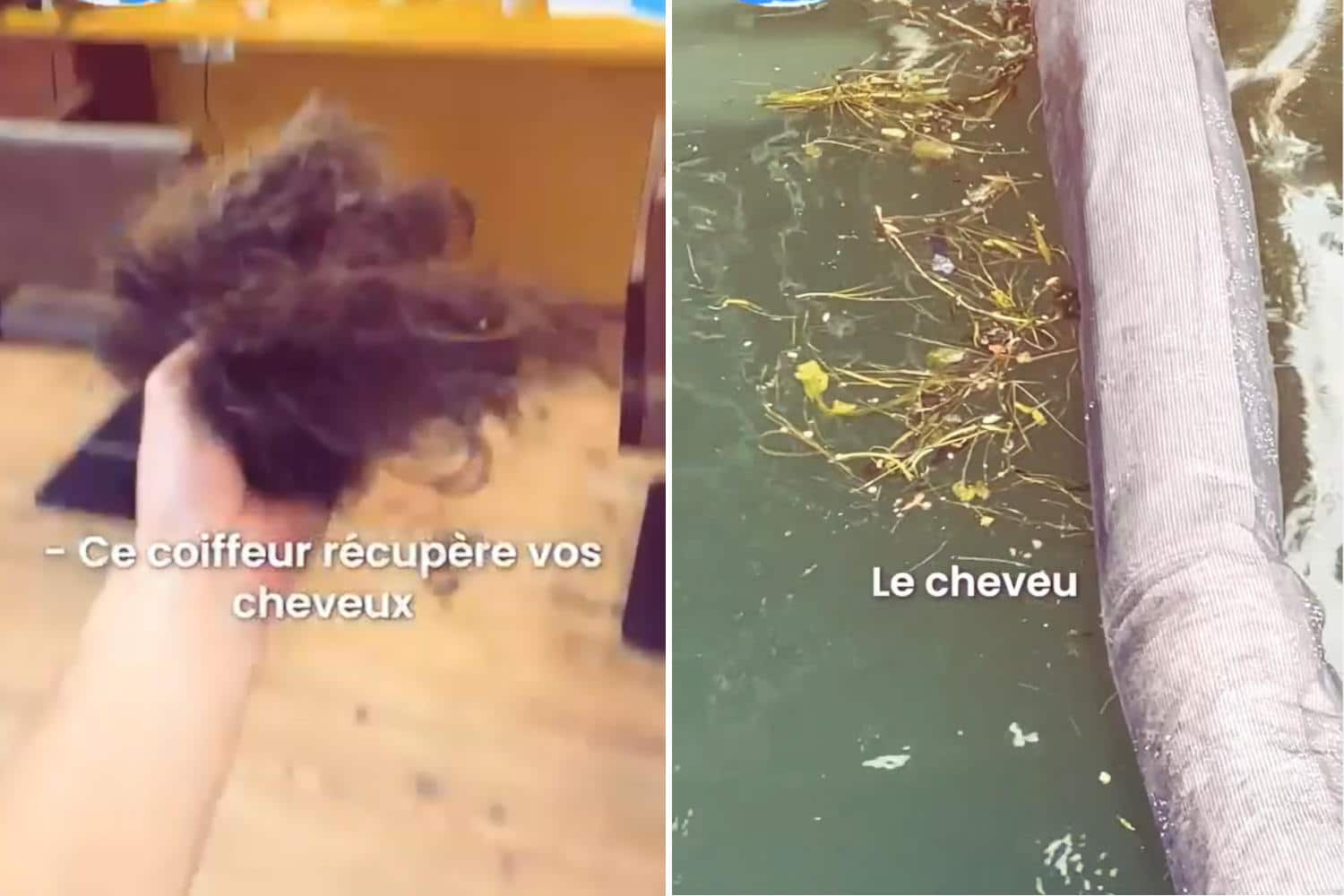 Ti spiego come i capelli tagliati possono diventare una risorsa per depurare le acque della Senna 1 Capelli Senna.jpg