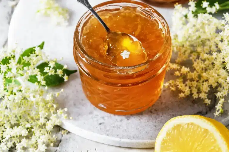 Marmellata sambuco e limone.jpg.webp