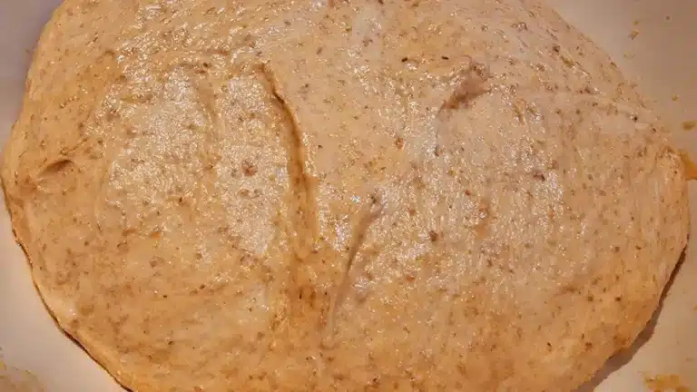 impasto al pomodoro.jpg.webp