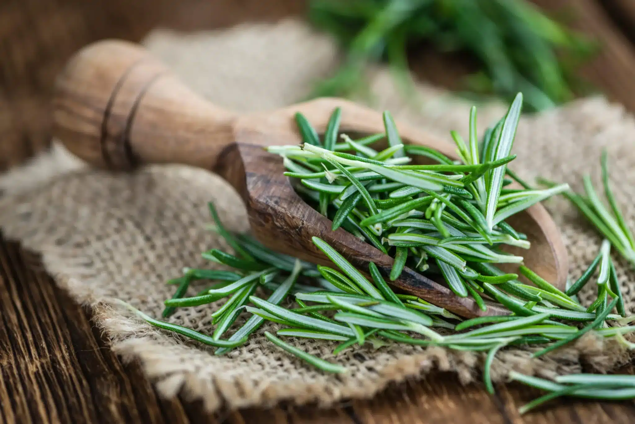 AdobeStock 107907780 scaled.jpeg.webp