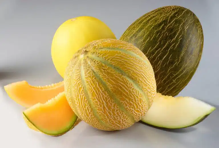 Tipi di melone scaled.jpg.webp