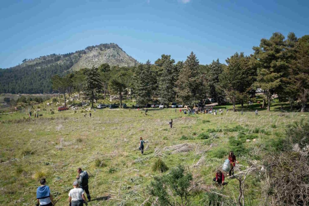 bosco dei sette cieli.jpg