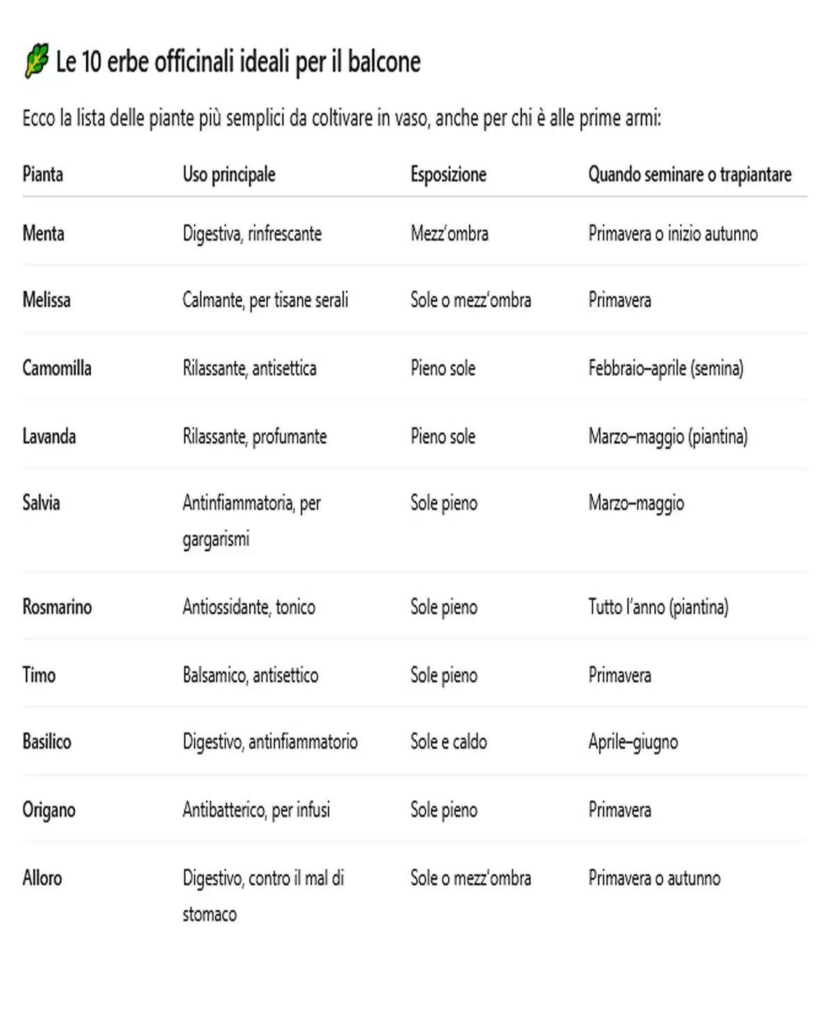 10 Erbe Officinali da Coltivare sul Balcone: sempre pronte per tisane, rimedi e ricette 1 erbe officinali balcone alta risoluzione1.png.webp