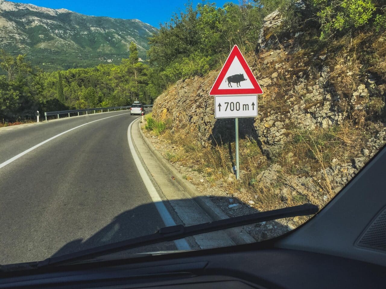 Incidente auto con cinghiale: la Regione deve pagare i danni 1 Segnale fauna selvatica e1756388922917.jpg