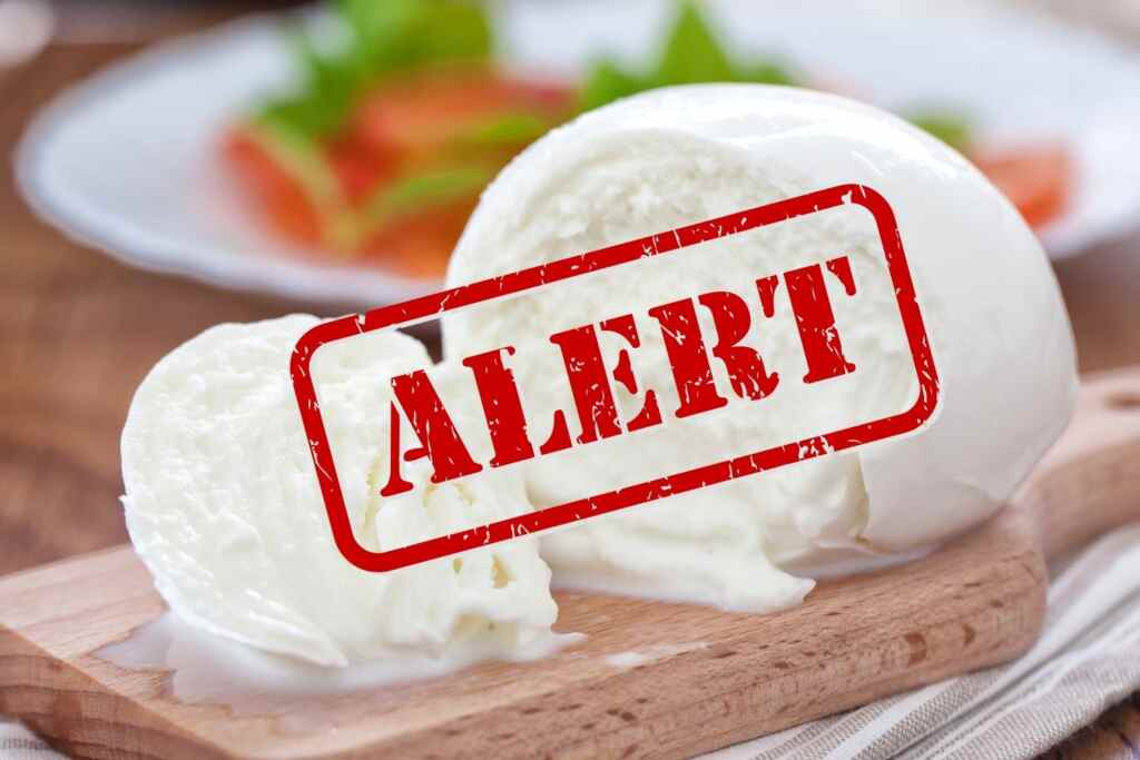 Mozzarella di bufala campana richiamata per micotossina pericolosa: marca e lotti da non consumare 2 allerta mozzarella