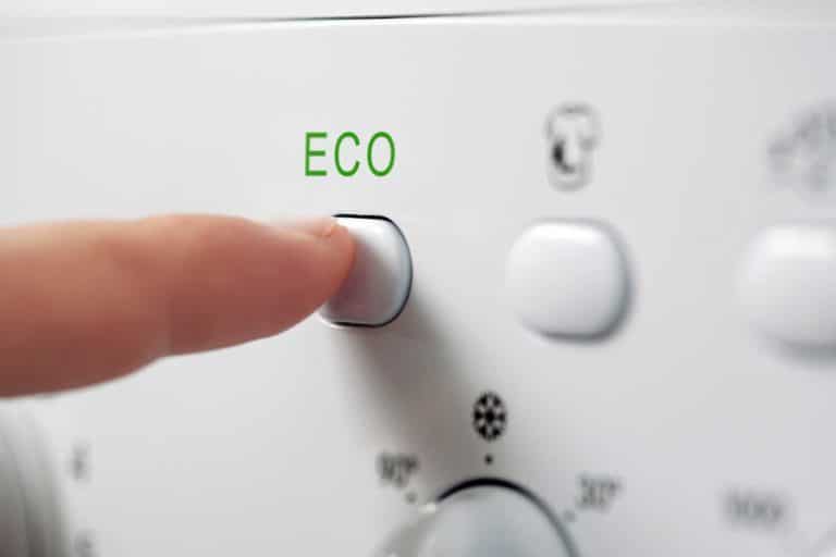 funzione eco 2.jpg