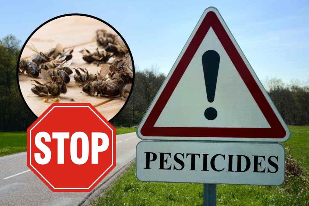 stop pesticidi dannosi api