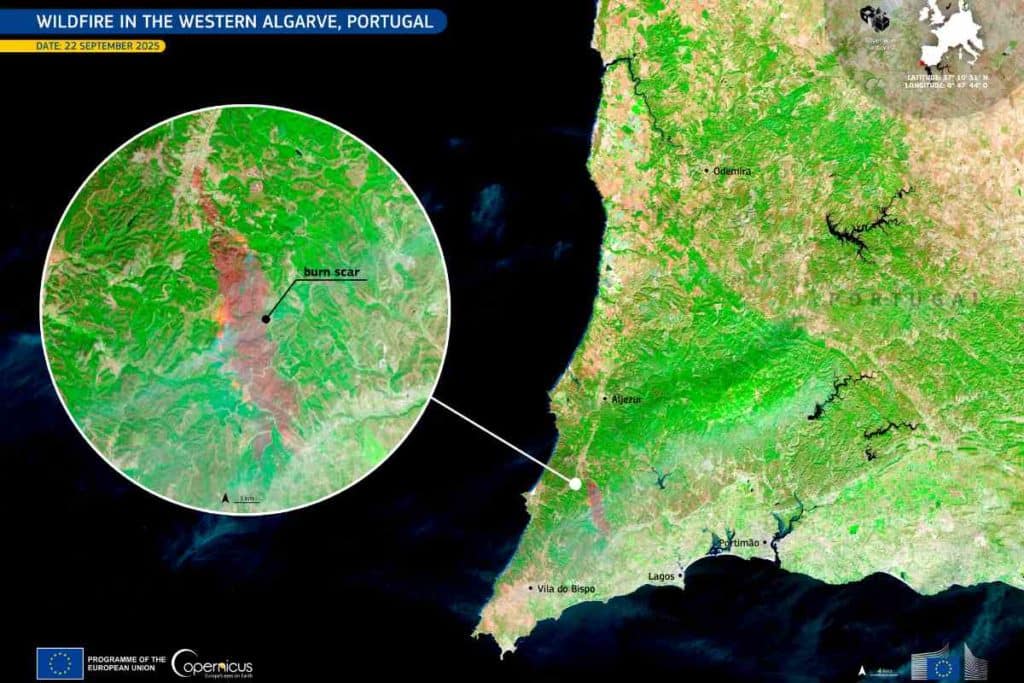 incendi Portogallo.jpg