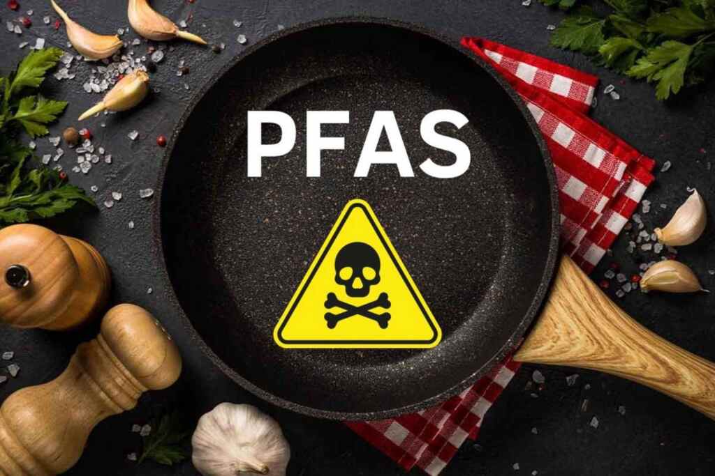 Pfas addio… o quasi: la Francia ha salvato pentole e padelle antiaderenti dal divieto (facendo vincere le lobby) 2 pfas padelle antiaderenti