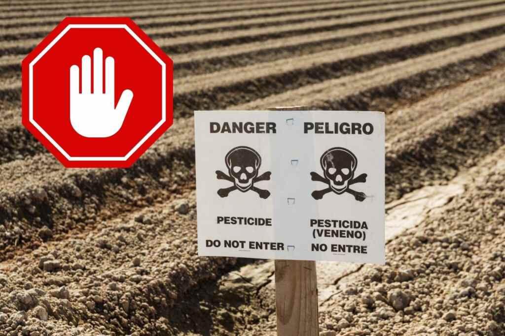 Pesticidi: stop allo “scudo legale” per le multinazionali, il Congresso Usa blocca la norma pro-Bayer 2 pesticidi