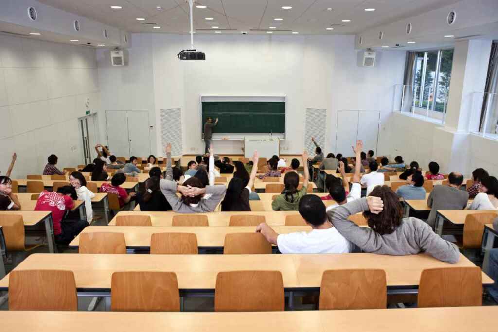 universita 1024x683.jpg