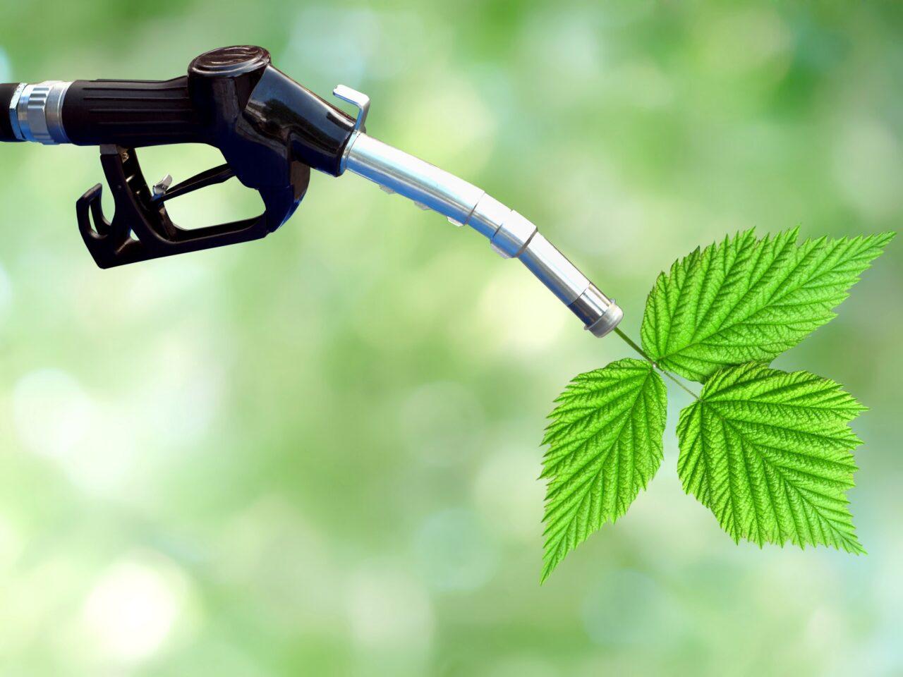 Stop ICE 2035, la svolta: Consiglio UE d’accordo su neutralità tecnologica 1 Carburanti green e1733238157175.jpg