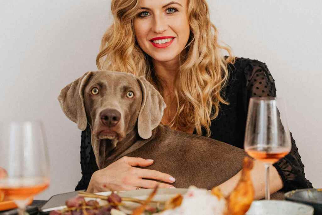 4 italiani su 10 portano il cane o il gatto a cena fuori: in crescita i ristoranti pet-friendly 2 Cani al ristorante