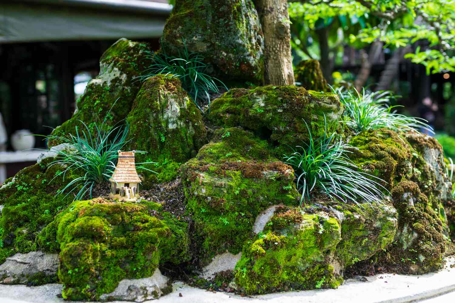 Penjing: l’arte cinese che trasforma la natura in un racconto in miniatura (e che non è un bonsai) 1 Penjing.jpg