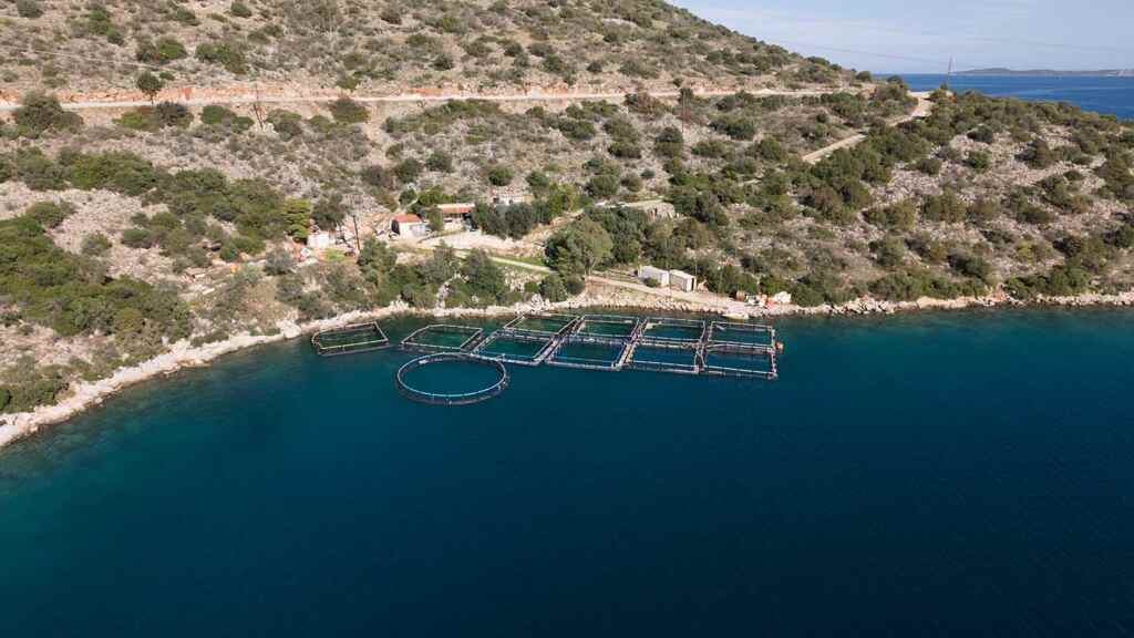 Fantasmi nel mare cristallino: il lato oscuro della Grecia. Cosa abbiamo scoperto durante questa missione di pulizia marina 1 allevamenti ittici ok 1024x576.jpg