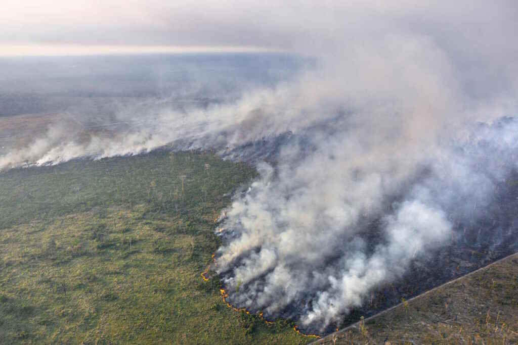 L’Amazzonia sta soffocando nel fumo dell’industria della carne: “aria più tossica che a Pechino” 2 amazzonia incendi