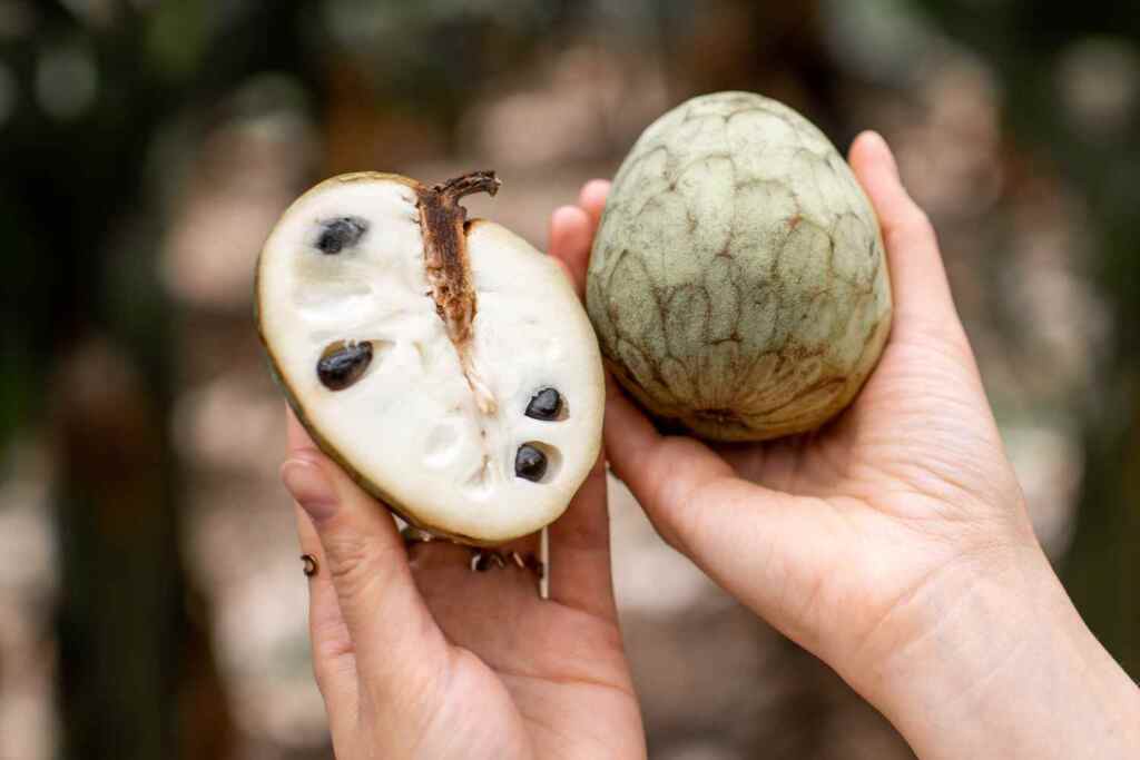 Hai mai assaggiato l’Annona? Questo frutto tropicale (coltivato in Calabria e Sicilia) è un’esplosione di gusto 2 annona