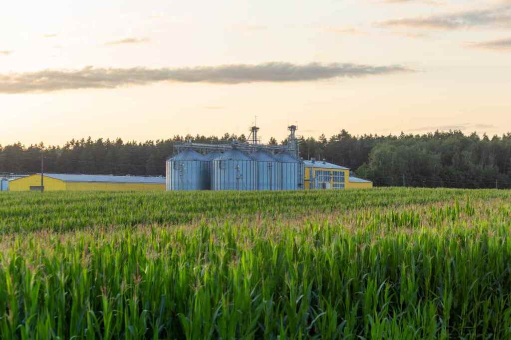 bioeconomia 1024x683 1